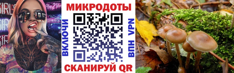 Галлюциногенные грибы Psilocybine cubensis  Купить закладки  Североуральск 